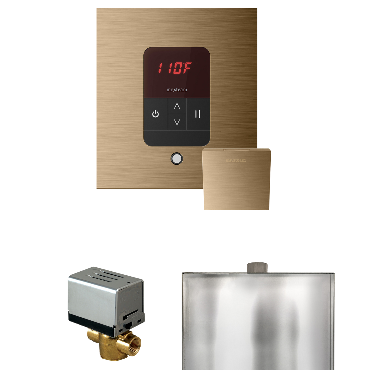 Mr. Steam Basic Butler Steam Shower Control Package with iTempo Control and Steamhead Mr. Steam