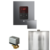 Mr. Steam Basic Butler Steam Shower Control Package with iTempo Control and Steamhead Mr. Steam