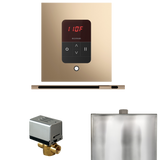 Mr. Steam Basic Butler Steam Control Package with iTempo Control and Linear Steamhead Mr. Steam