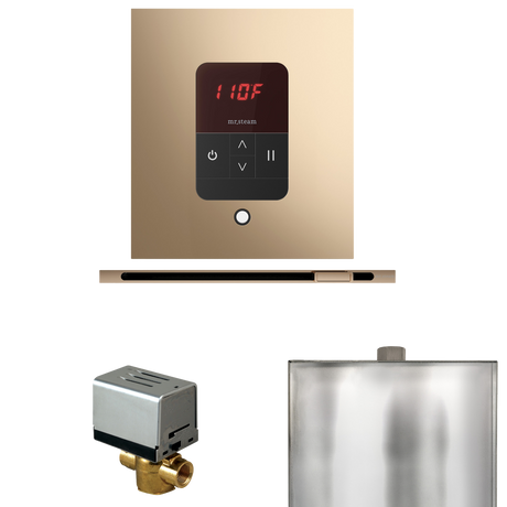 Mr. Steam Basic Butler Steam Control Package with iTempo Control and Linear Steamhead Mr. Steam