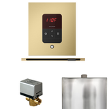 Mr. Steam Basic Butler Steam Control Package with iTempo Control and Linear Steamhead Mr. Steam