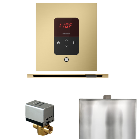 Mr. Steam Basic Butler Steam Control Package with iTempo Control and Linear Steamhead Mr. Steam