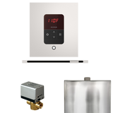 Mr. Steam Basic Butler Steam Control Package with iTempo Control and Linear Steamhead Mr. Steam