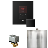 Mr. Steam Basic Butler Steam Shower Control Package with iTempo Control and Steamhead Mr. Steam