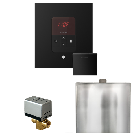Mr. Steam Basic Butler Steam Shower Control Package with iTempo Control and Steamhead Mr. Steam