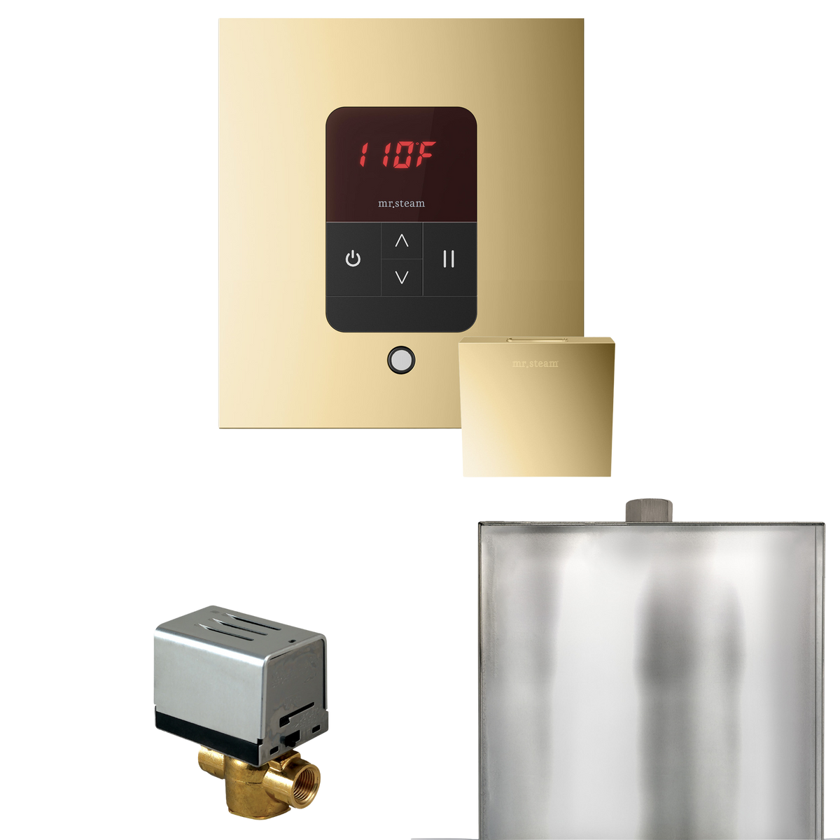 Mr. Steam Basic Butler Steam Shower Control Package with iTempo Control and Steamhead Mr. Steam