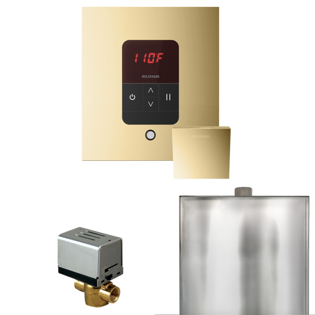Mr. Steam Basic Butler Steam Shower Control Package with iTempo Control and Steamhead Mr. Steam