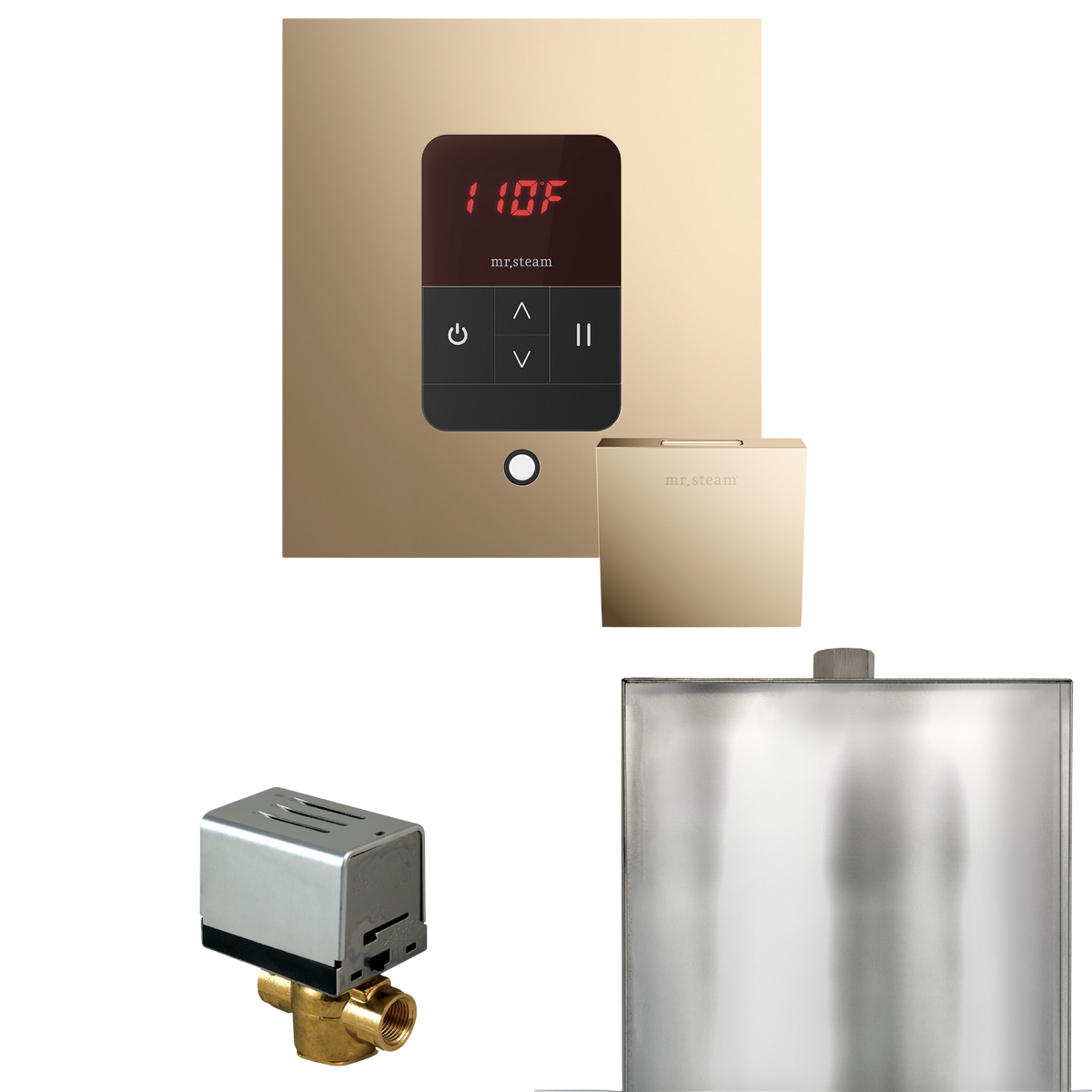 Mr. Steam Basic Butler Steam Shower Control Package with iTempo Control and Steamhead Mr. Steam