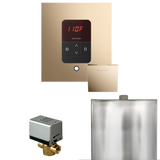 Mr. Steam Basic Butler Steam Shower Control Package with iTempo Control and Steamhead Mr. Steam