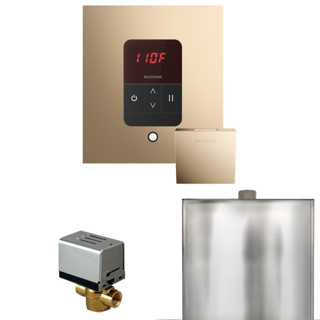 Mr. Steam Basic Butler Steam Shower Control Package with iTempo Control and Steamhead Mr. Steam