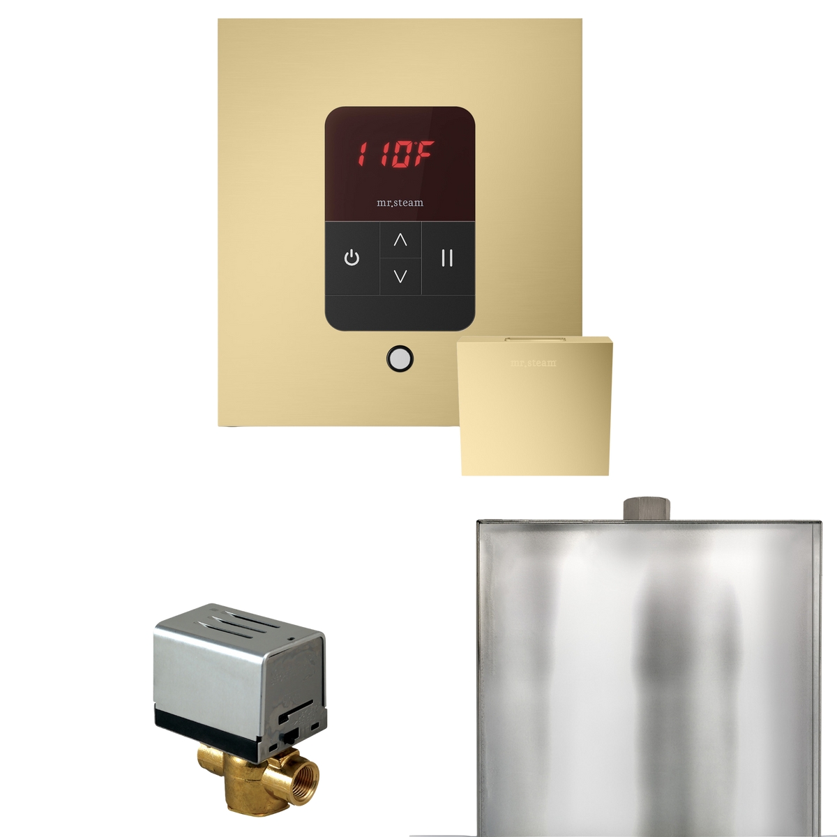 Mr. Steam Basic Butler Steam Shower Control Package with iTempo Control and Steamhead Mr. Steam