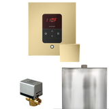 Mr. Steam Basic Butler Steam Shower Control Package with iTempo Control and Steamhead Mr. Steam