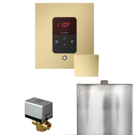 Mr. Steam Basic Butler Steam Shower Control Package with iTempo Control and Steamhead Mr. Steam