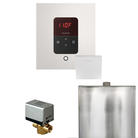 Mr. Steam Basic Butler Steam Shower Control Package with iTempo Control and Steamhead Mr. Steam