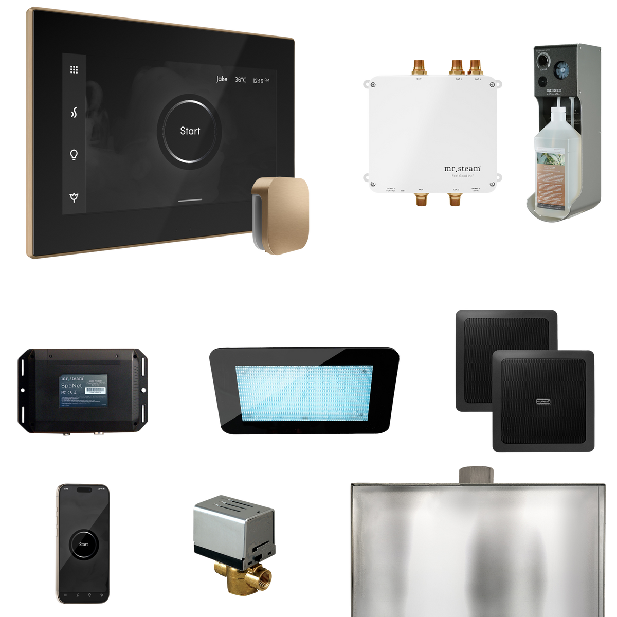 Mr. Steam Bliss Steam Shower Control Package with iSteamX Control and Steamhead Mr. Steam