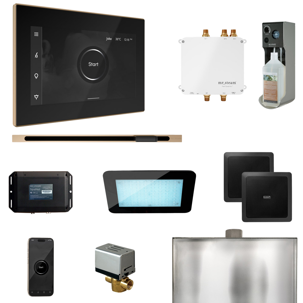 Mr. Steam Bliss Steam Shower Control Package with iSteamX Control and Linear Steamhead Mr. Steam