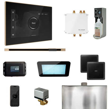 Mr. Steam Bliss Steam Shower Control Package with iSteamX Control and Linear Steamhead Mr. Steam