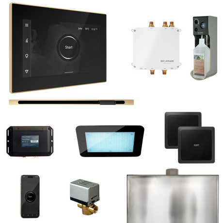 Mr. Steam Bliss Steam Shower Control Package with iSteamX Control and Linear Steamhead Mr. Steam