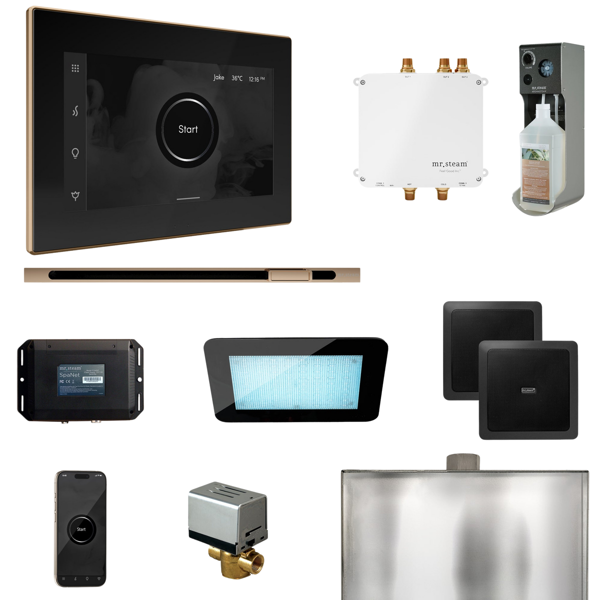 Mr. Steam Bliss Steam Shower Control Package with iSteamX Control and Linear Steamhead Mr. Steam