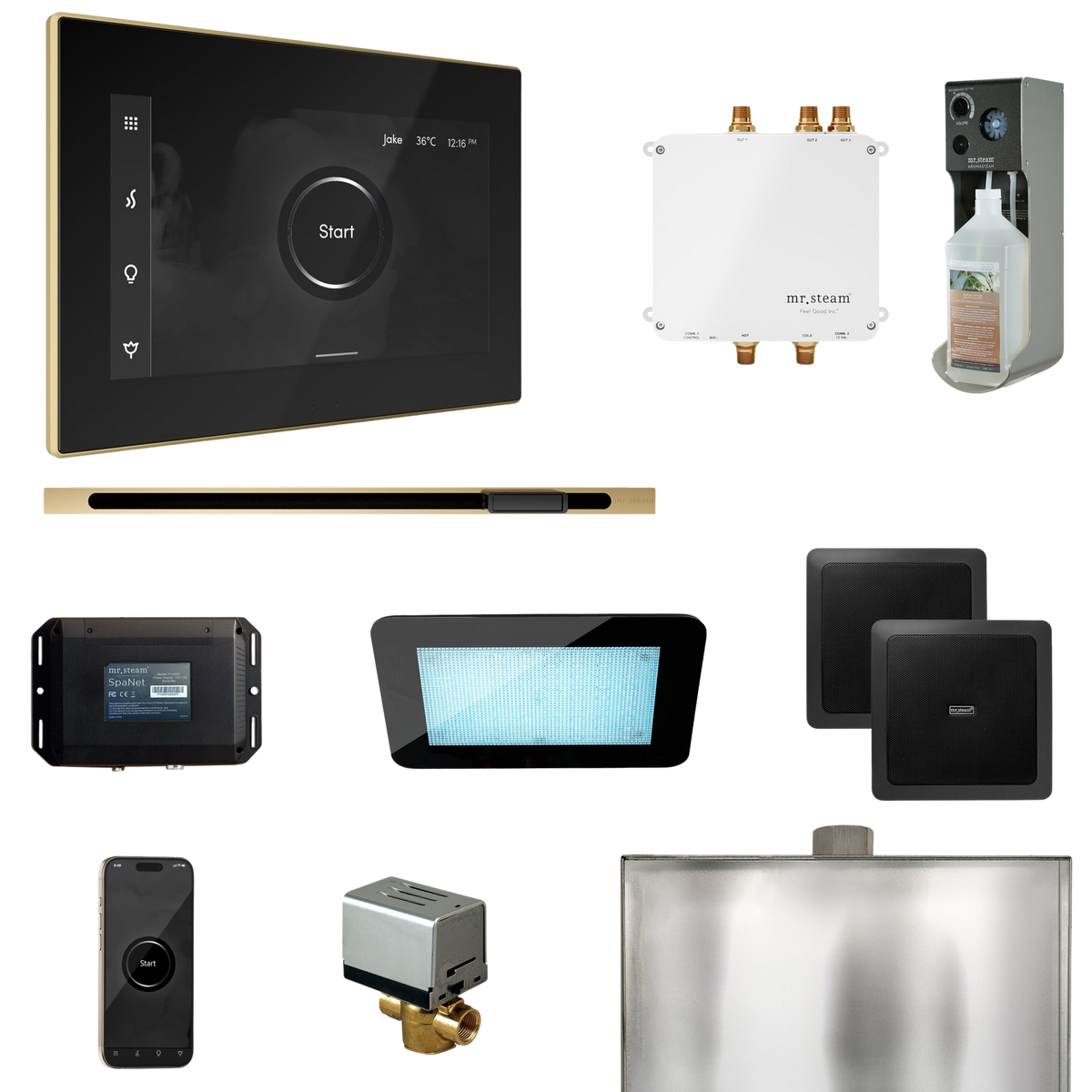 Mr. Steam Bliss Steam Shower Control Package with iSteamX Control and Linear Steamhead Mr. Steam