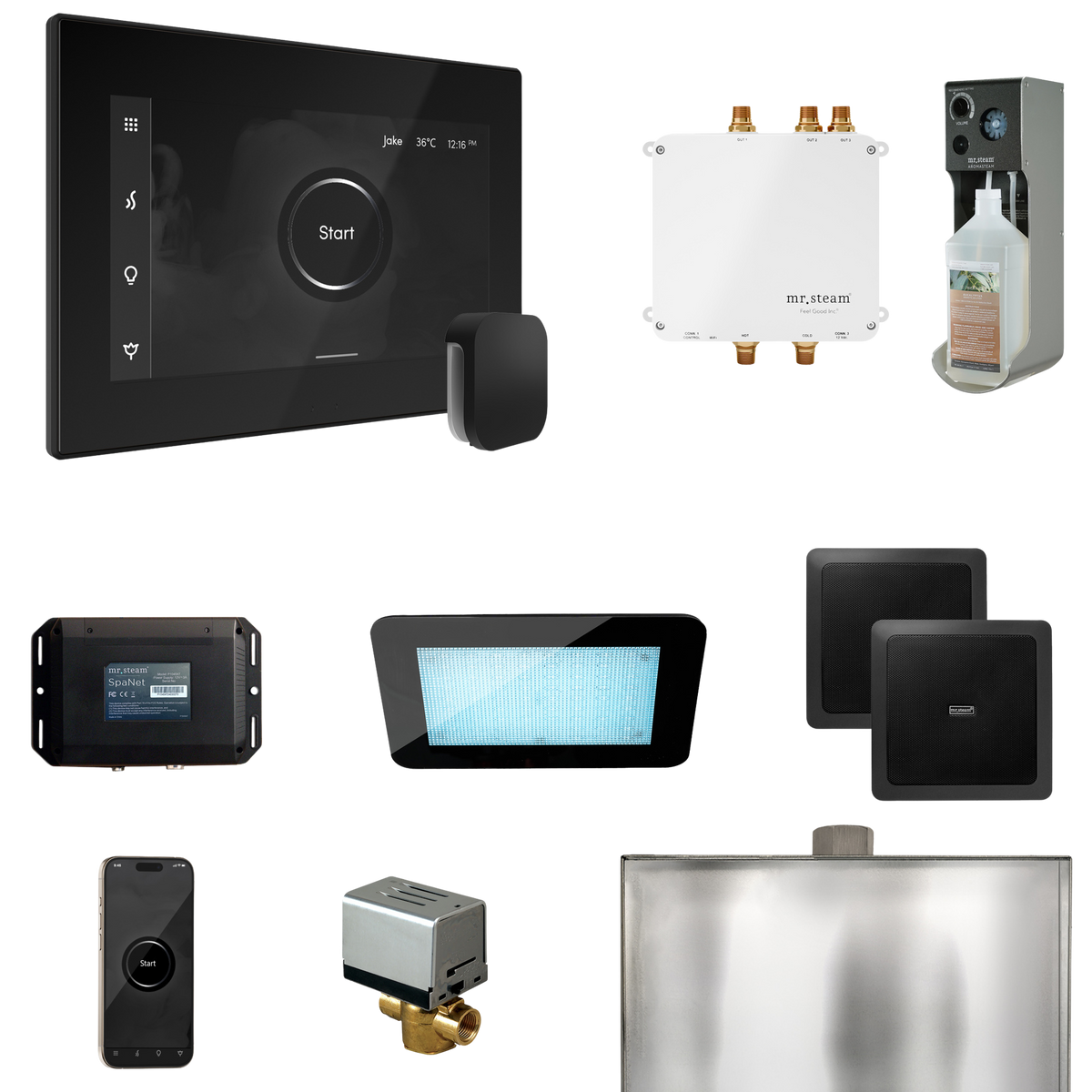 Mr. Steam Bliss Steam Shower Control Package with iSteamX Control and Steamhead Mr. Steam