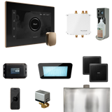 Mr. Steam Bliss Steam Shower Control Package with iSteamX Control and Steamhead Mr. Steam