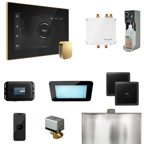 Mr. Steam Bliss Steam Shower Control Package with iSteamX Control and Steamhead Mr. Steam