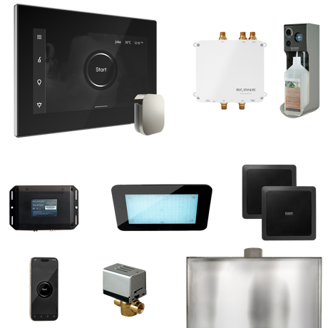 Mr. Steam Bliss Steam Shower Control Package with iSteamX Control and Steamhead Mr. Steam