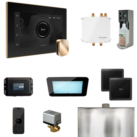 Mr. Steam Bliss Steam Shower Control Package with iSteamX Control and Steamhead Mr. Steam