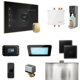 Mr. Steam Bliss Steam Shower Control Package with iSteamX Control and Steamhead Mr. Steam