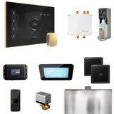 Mr. Steam Bliss Steam Shower Control Package with iSteamX Control and Steamhead