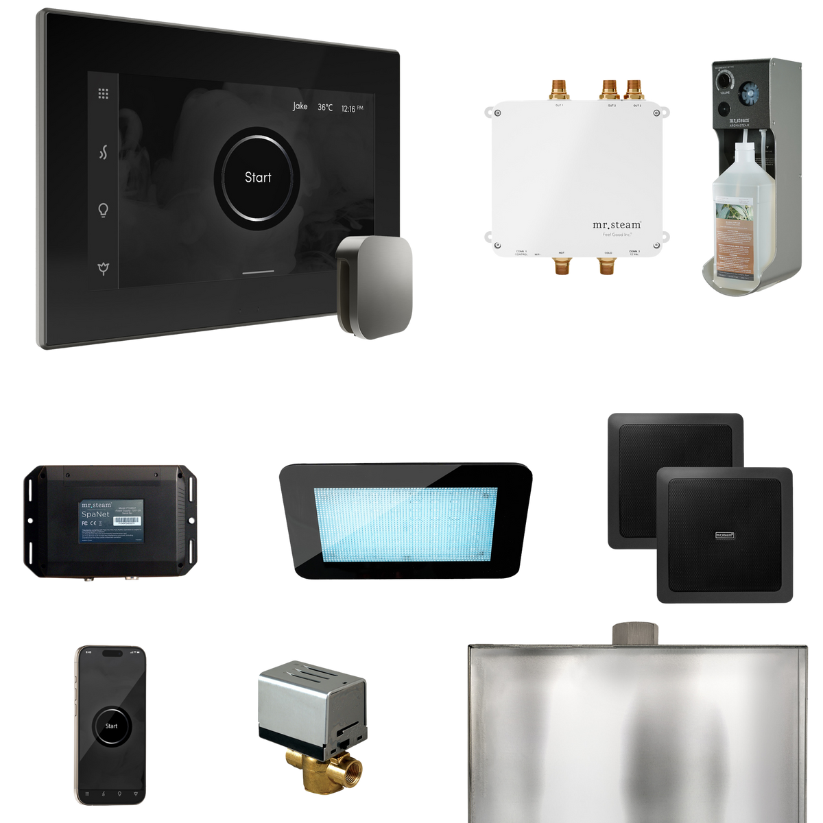 Mr. Steam Bliss Steam Shower Control Package with iSteamX Control and Steamhead Mr. Steam