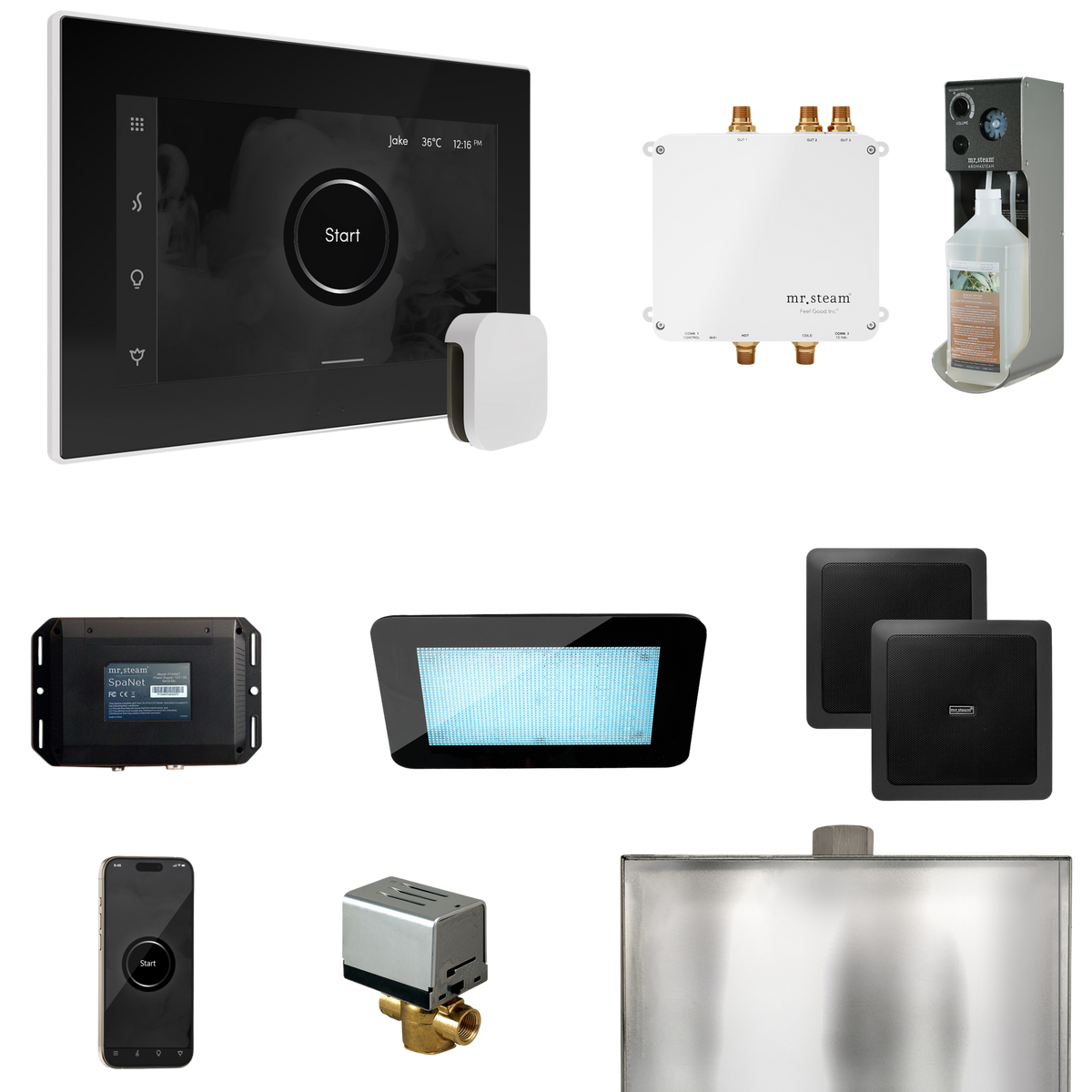 Mr. Steam Bliss Steam Shower Control Package with iSteamX Control and Steamhead Mr. Steam