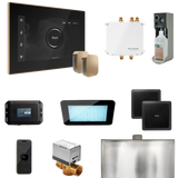 Mr. Steam Bliss Max Steam Shower Control Package with iSteamX Control and Steamhead Mr. Steam