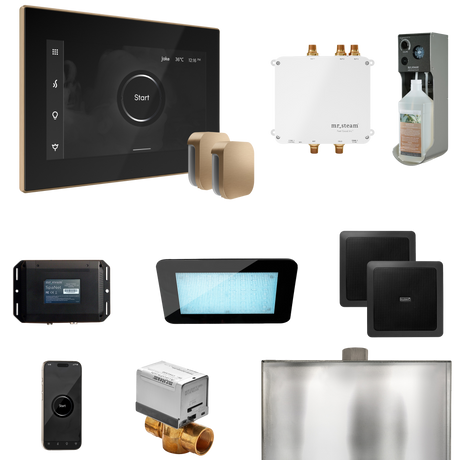 Mr. Steam Bliss Max Steam Shower Control Package with iSteamX Control and Steamhead Mr. Steam