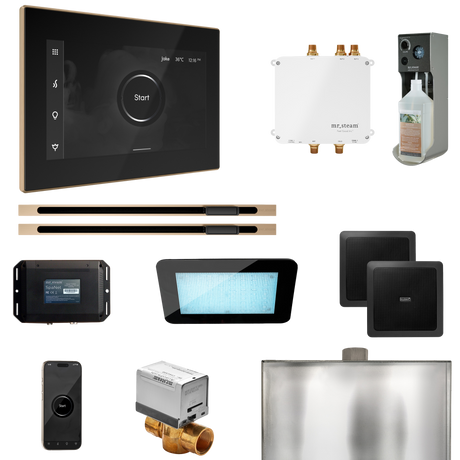 Mr. Steam Bliss Max Steam Shower Control Package with iSteamX Control and Linear Steamhead Mr. Steam