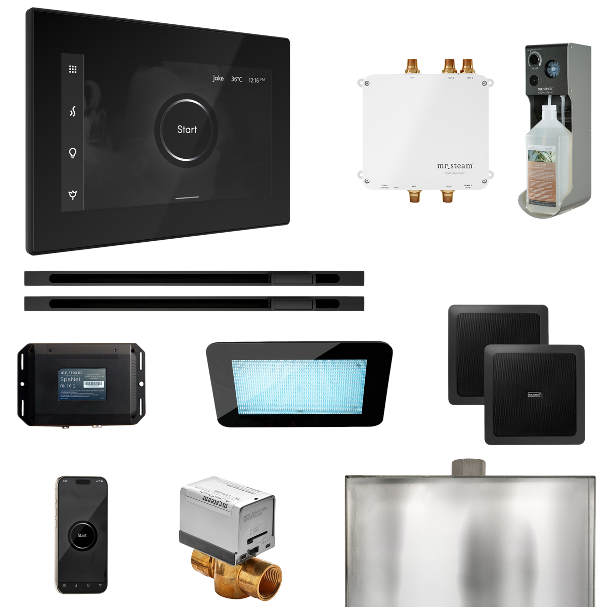 Mr. Steam Bliss Max Steam Shower Control Package with iSteamX Control and Linear Steamhead Mr. Steam