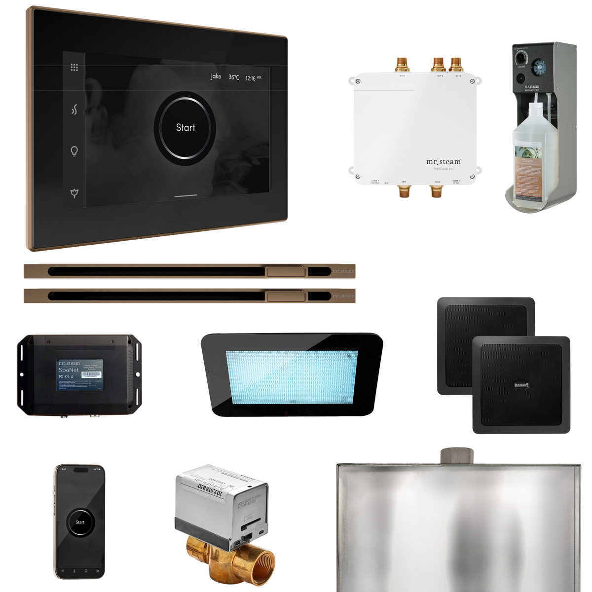 Mr. Steam Bliss Max Steam Shower Control Package with iSteamX Control and Linear Steamhead Mr. Steam