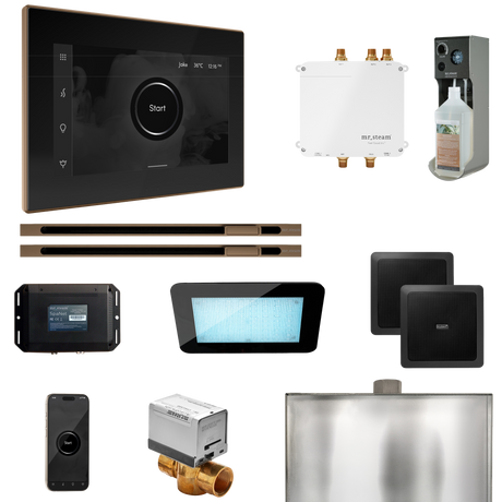 Mr. Steam Bliss Max Steam Shower Control Package with iSteamX Control and Linear Steamhead Mr. Steam
