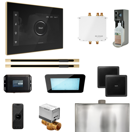 Mr. Steam Bliss Max Steam Shower Control Package with iSteamX Control and Linear Steamhead Mr. Steam