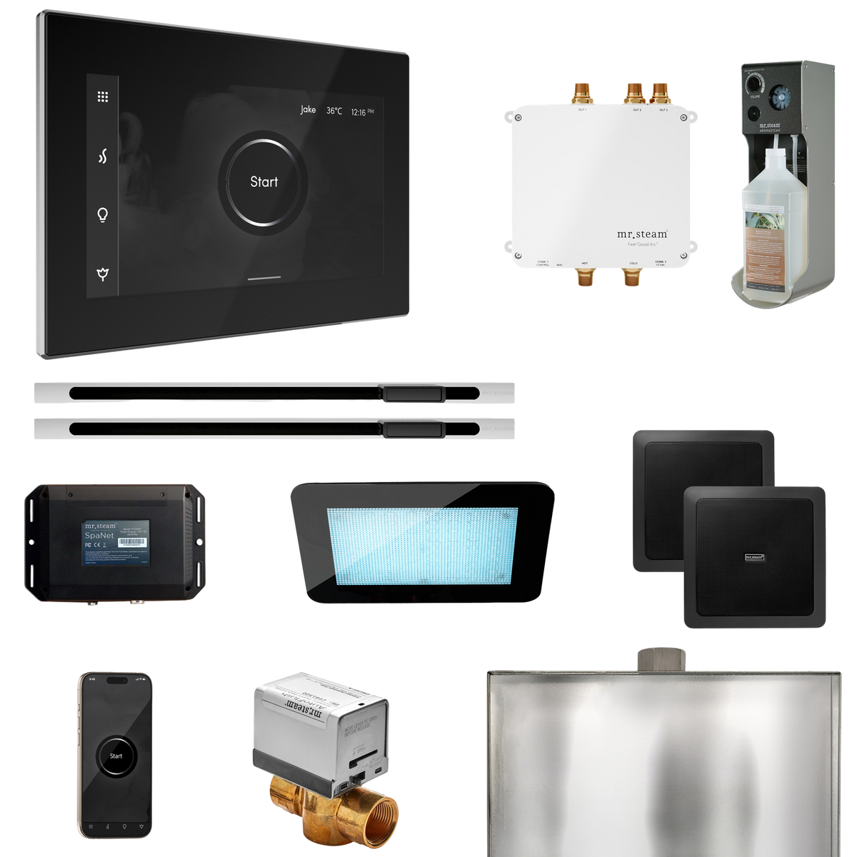 Mr. Steam Bliss Max Steam Shower Control Package with iSteamX Control and Linear Steamhead Mr. Steam