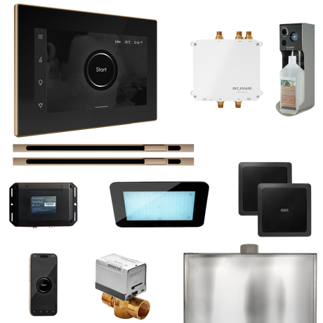 Mr. Steam Bliss Max Steam Shower Control Package with iSteamX Control and Linear Steamhead Mr. Steam