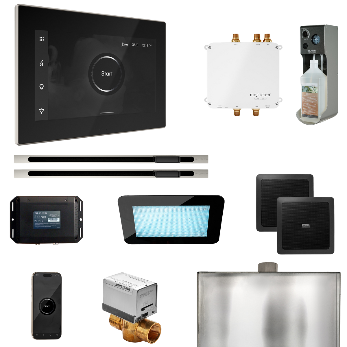 Mr. Steam Bliss Max Steam Shower Control Package with iSteamX Control and Linear Steamhead Mr. Steam