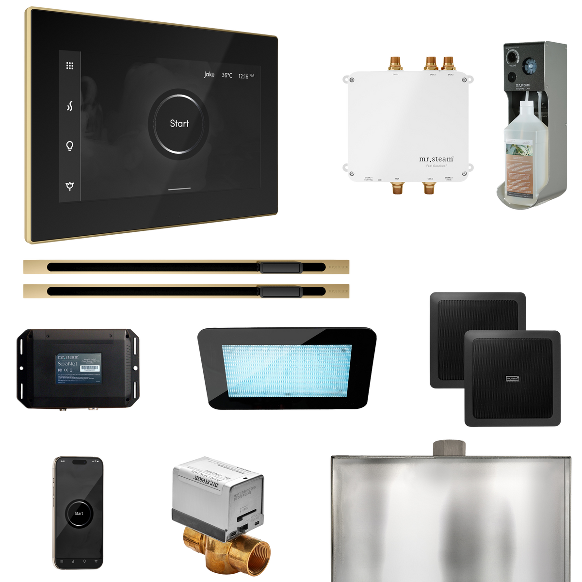 Mr. Steam Bliss Max Steam Shower Control Package with iSteamX Control and Linear Steamhead Mr. Steam