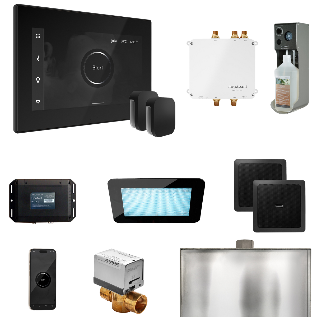 Mr. Steam Bliss Max Steam Shower Control Package with iSteamX Control and Steamhead Mr. Steam