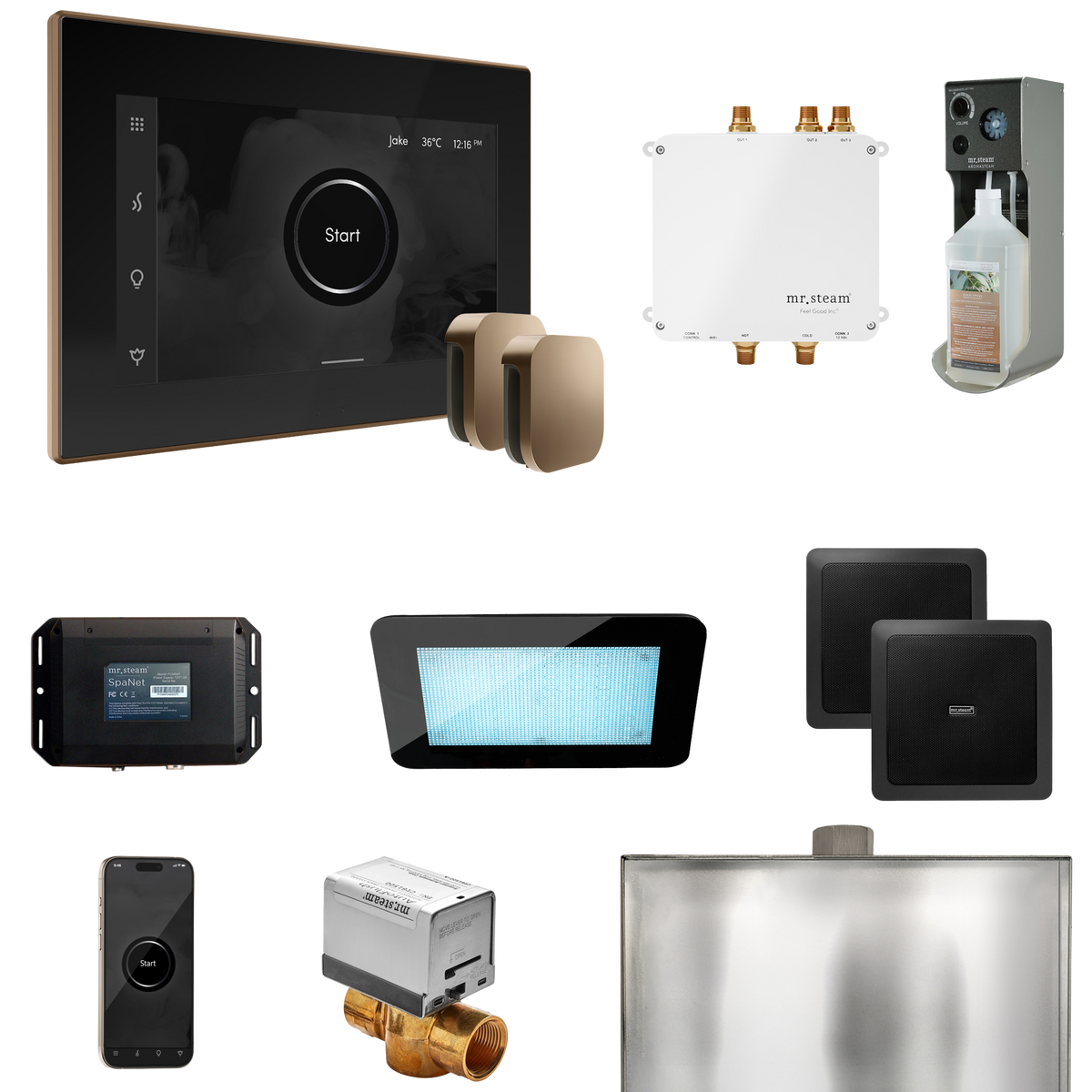Mr. Steam Bliss Max Steam Shower Control Package with iSteamX Control and Steamhead Mr. Steam