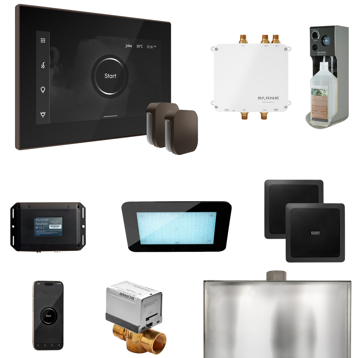 Mr. Steam Bliss Max Steam Shower Control Package with iSteamX Control and Steamhead Mr. Steam