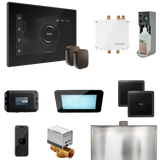 Mr. Steam Bliss Max Steam Shower Control Package with iSteamX Control and Steamhead Mr. Steam