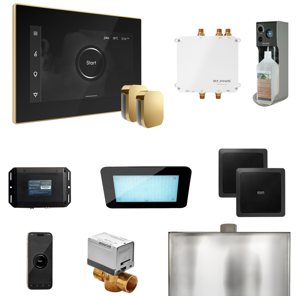Mr. Steam Bliss Max Steam Shower Control Package with iSteamX Control and Steamhead Mr. Steam