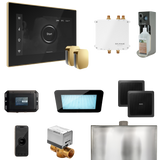 Mr. Steam Bliss Max Steam Shower Control Package with iSteamX Control and Steamhead Mr. Steam